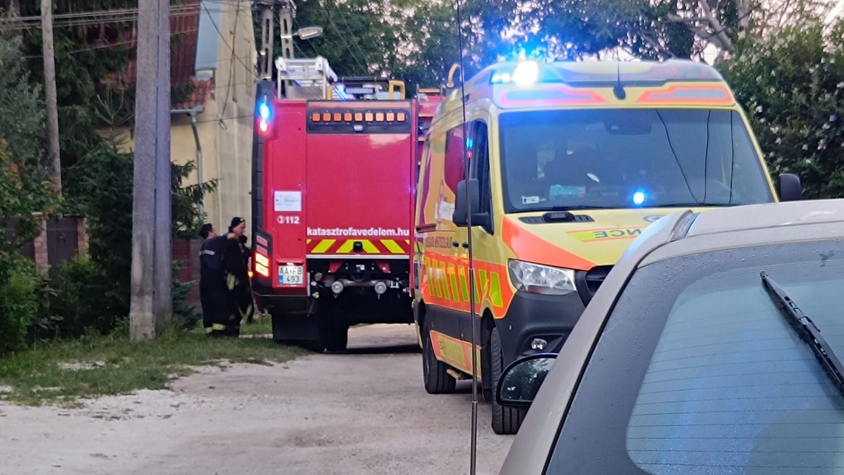 „Jelzett a Gondosóra, hogy baj van”: idős asszonyhoz rohant a segítség Piliscsabán