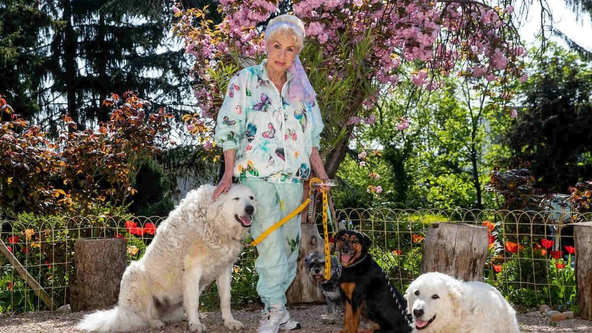 Medveczky Ilona összeomlott a gyásztól
