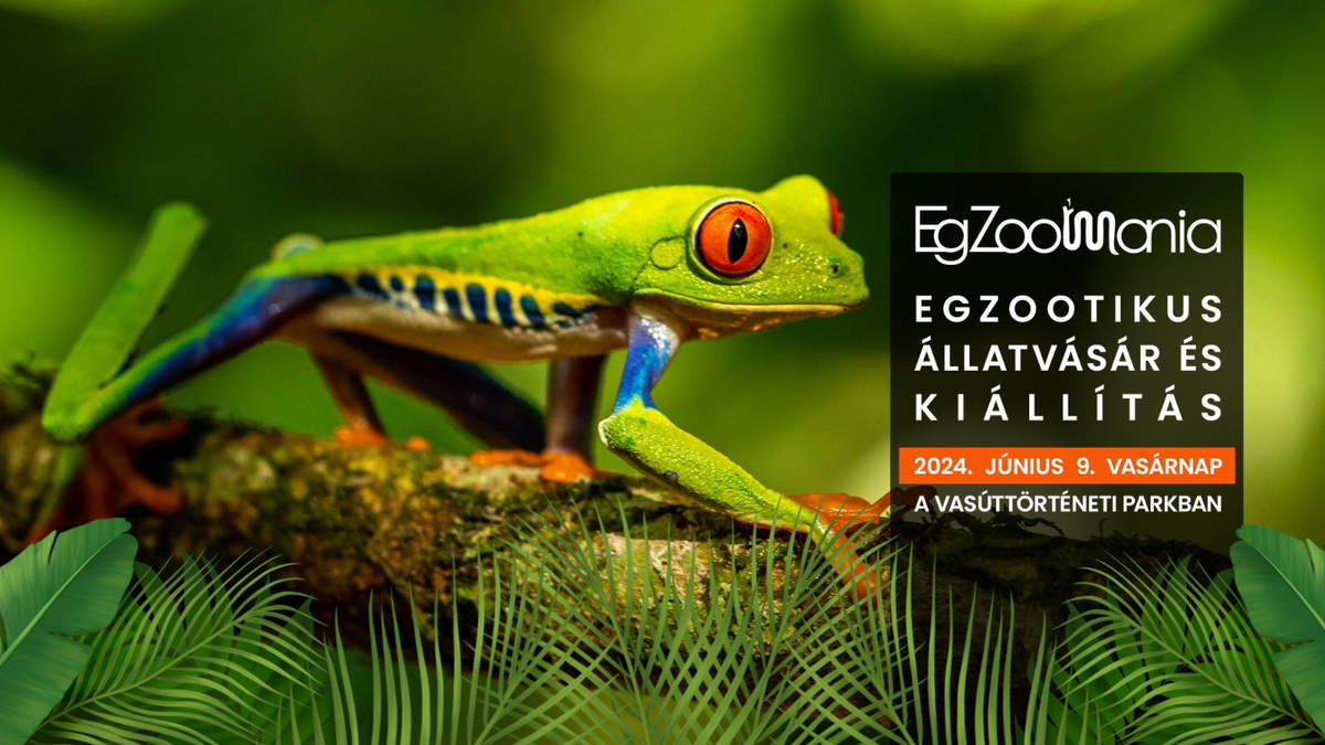 EgZoo Mania a Magyar Vasúttörténeti Parkban