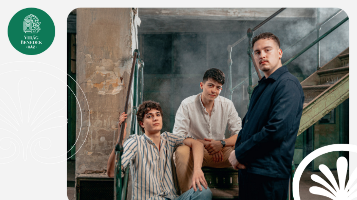 Intergeese – koncert