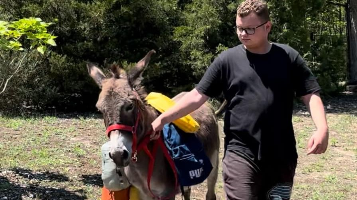 „Ott vagyunk már?!” – A magyar Shrek szamárával, Fülessel szeli át az országot