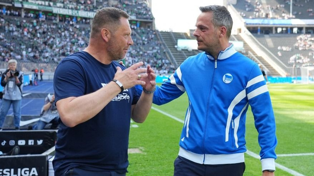 Dárdai Pál a Hertha elnöke lenne?