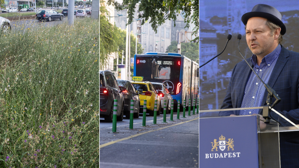 Átveszik az uralmat Budapesten a „zöld tálibok”? – kirúgták a főkertészt, senki se szab gátat a szélsőséges zöldek eszement ötleteinek