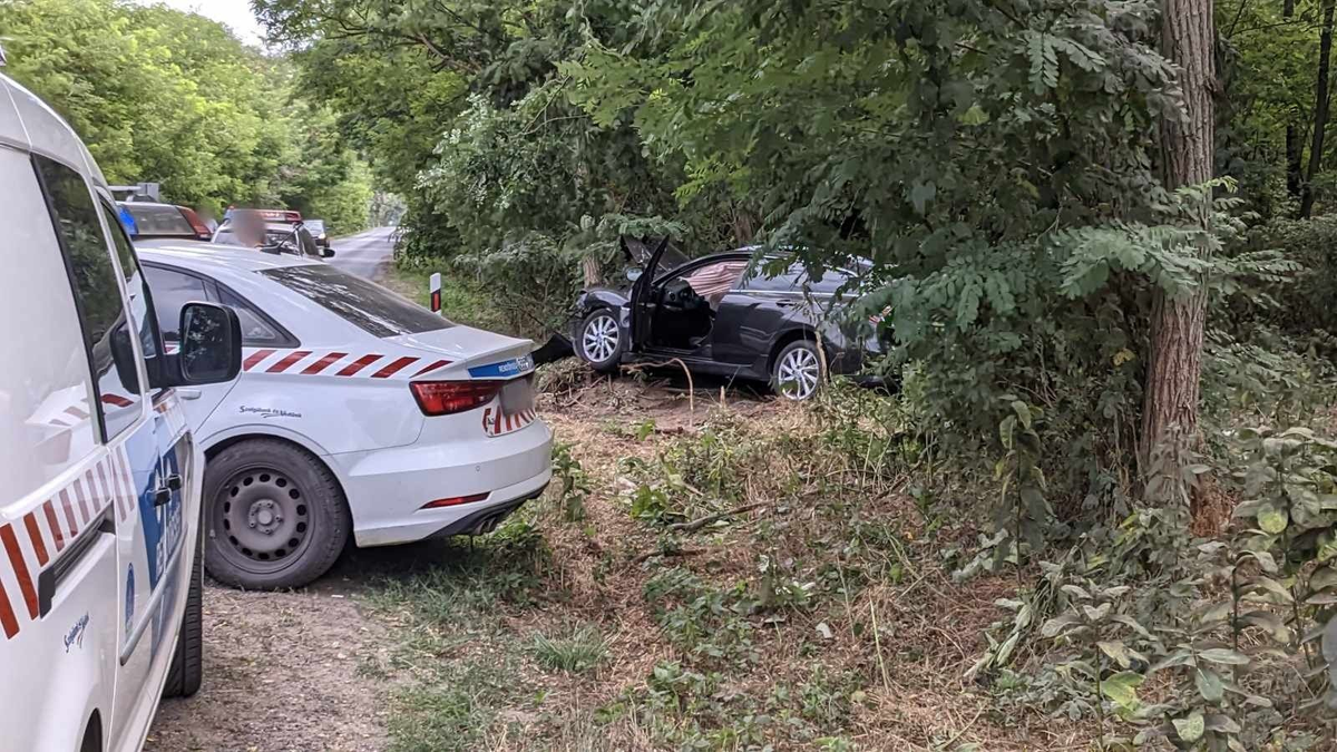 Fának hajtó autóban halt szörnyet a sofőr Dánynál – drámai helyszíni fotók