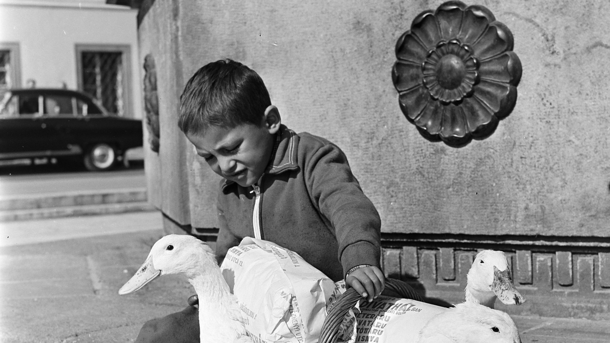 Közeledik a barátság világnapja: teszteld, benned mi mindent idéz fel a múlt