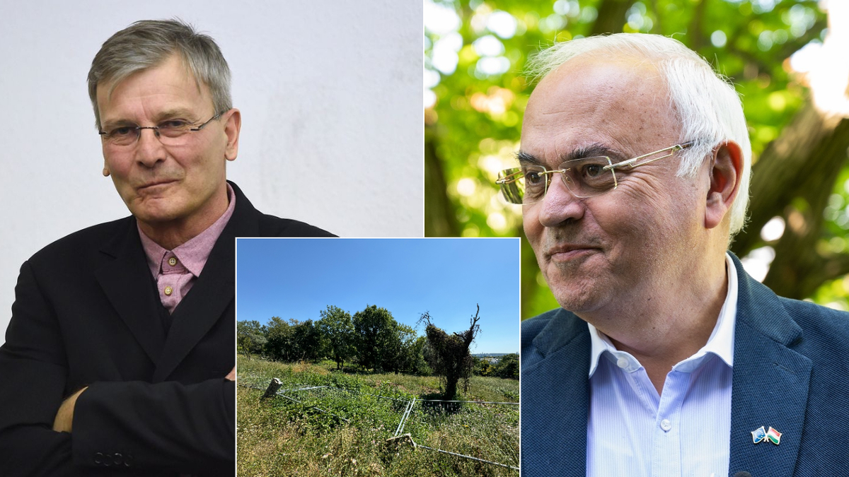 Botrány: Újbuda enged letarolni egy erdőt, hogy 270 lakásos lakópark épüljön helyette
