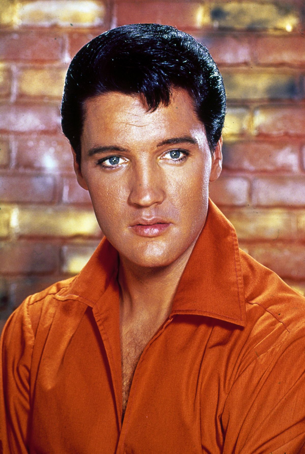 ELVIS