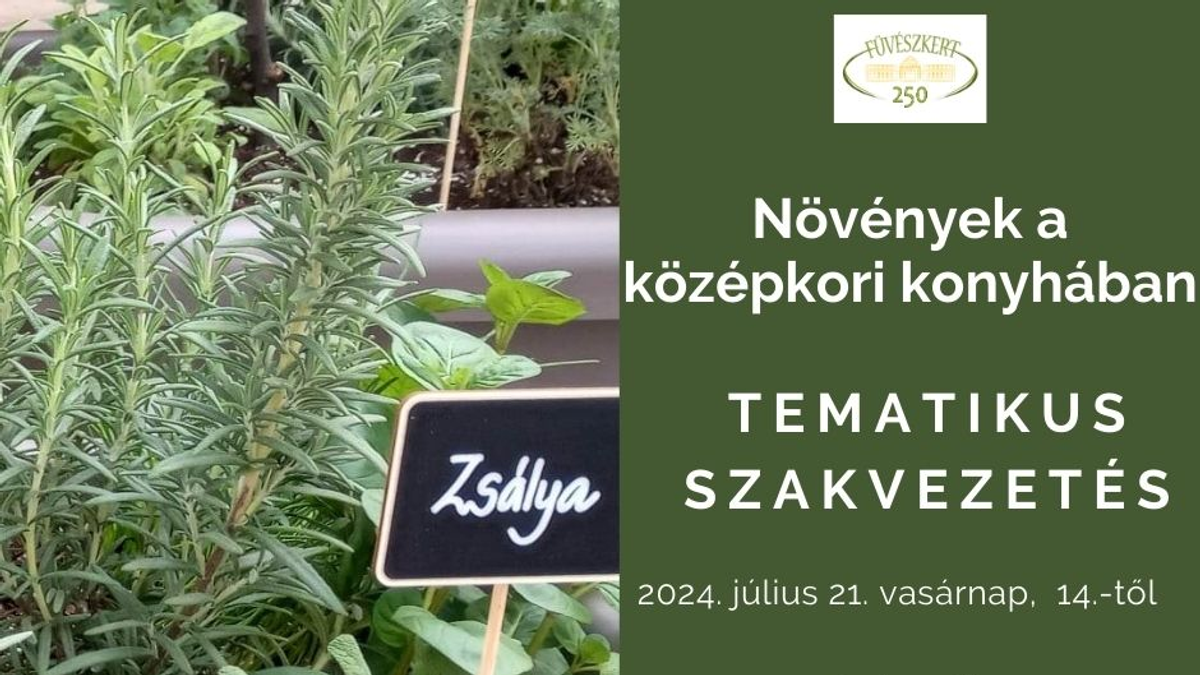 Növények a középkori konyhában - vezetett séta a Füvészkertben