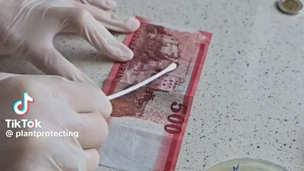 A nagy pénzteszt: ezért moss kezet mindig fizetés után!