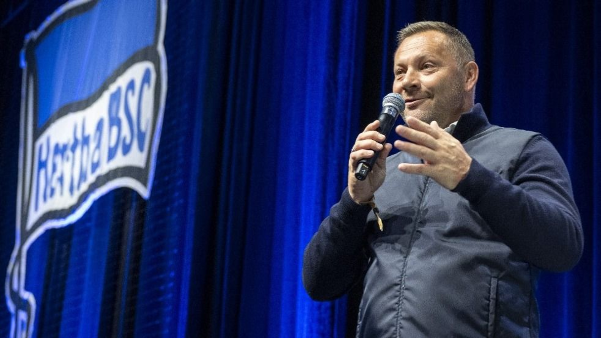 Dárdai Pál klubelnök lehet? Kiderült az igazság