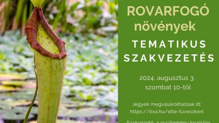 Rovarfogó növények - tematikus szakvezetés 