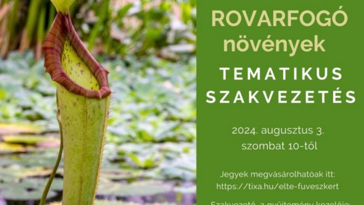 Rovarfogó növények - tematikus szakvezetés
