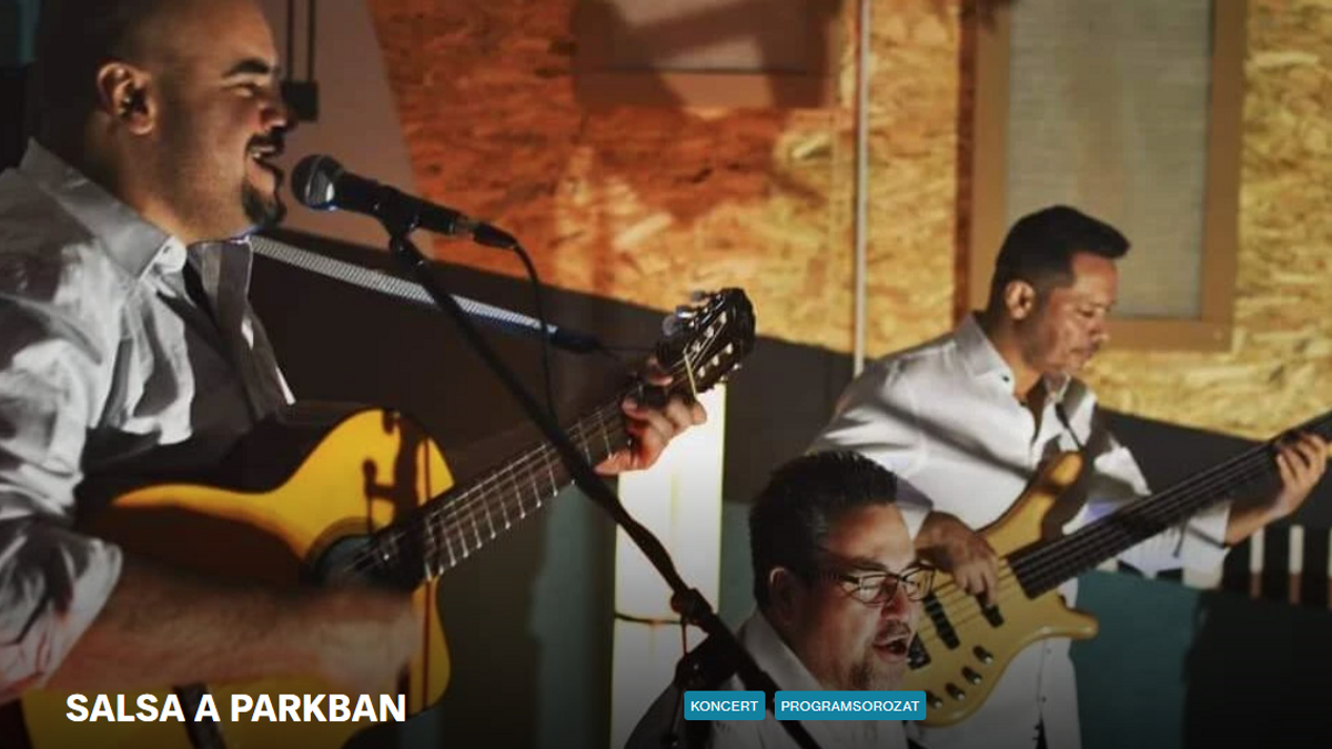 Salsa a Parkban - ingyenes buli, tánc!