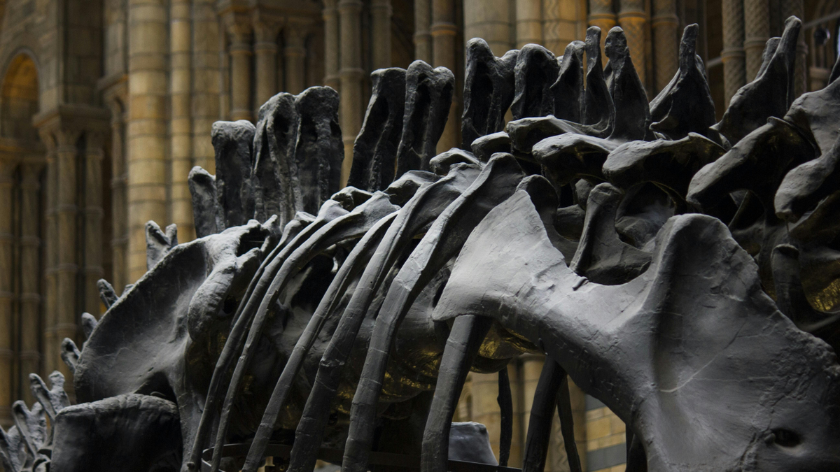 A tudósok álla is leesett: új óriás dinoszauruszfajt fedeztek fel