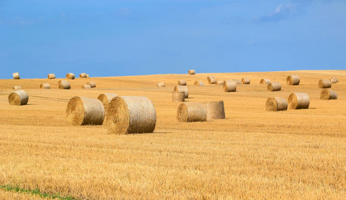 időjárás nyárutó nyár ősz szeptember