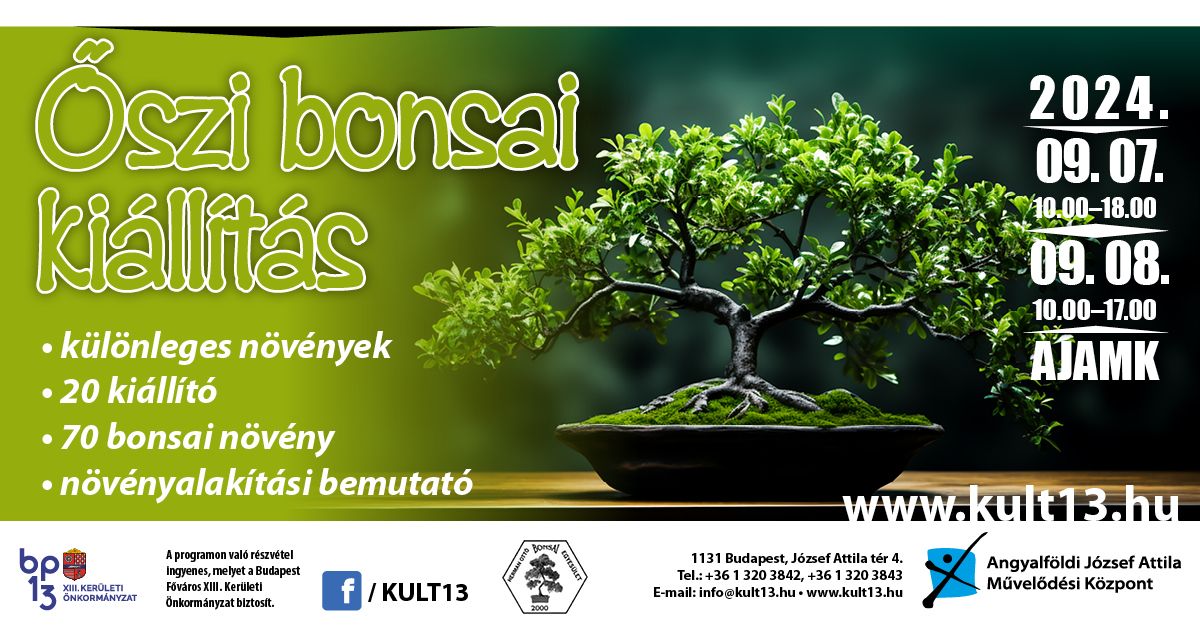 Őszi bonsai kiállítás