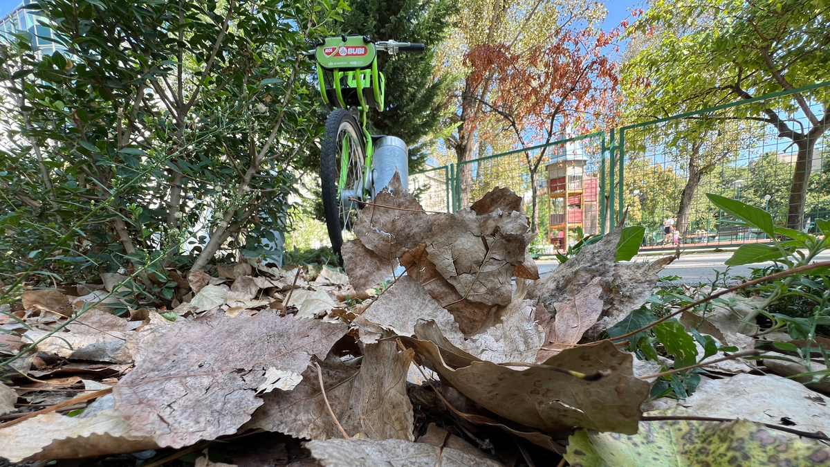 A tavalyi avart fújja a szél Ferencvárosban: panaszkodnak a lakók a „zöldfelületek” gondozatlansága miatt – Galéria