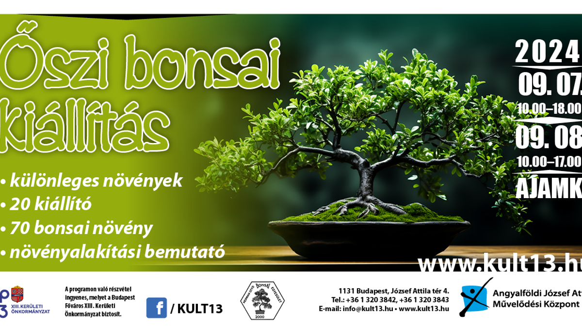 Őszi bonsai kiállítás - alakítási bemutatóval