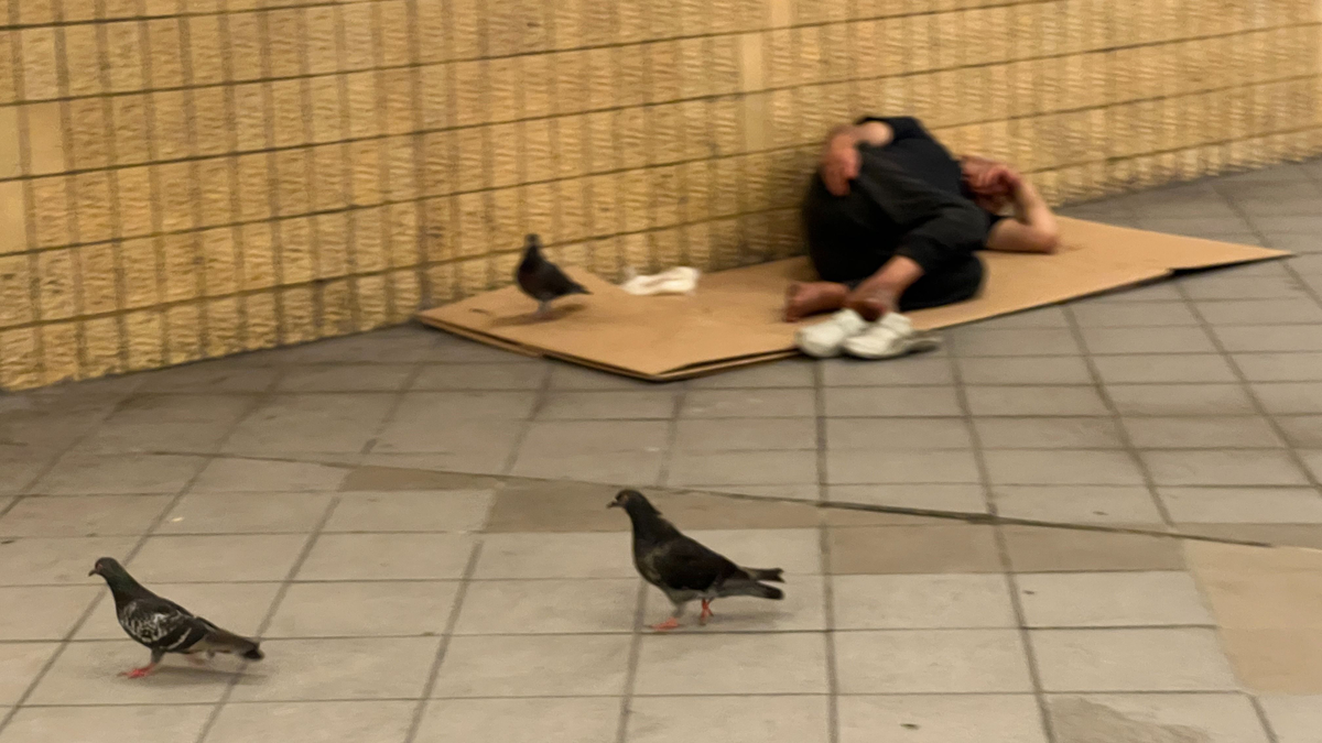 Hervasztó állapotok: ezért kerülik a budapestiek az aluljárókat – Galéria!