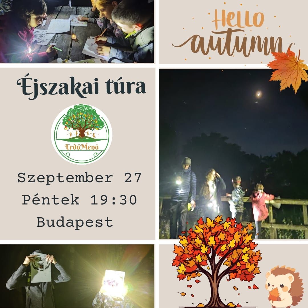 Éjszakai túra