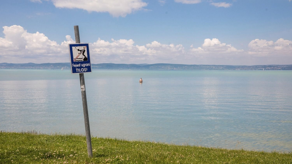 Mikroszkóp alá tették a Balaton vizét