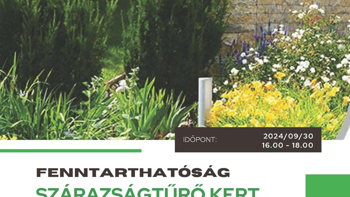 Szárazságtűrő kert - tanulságok a forró nyár után