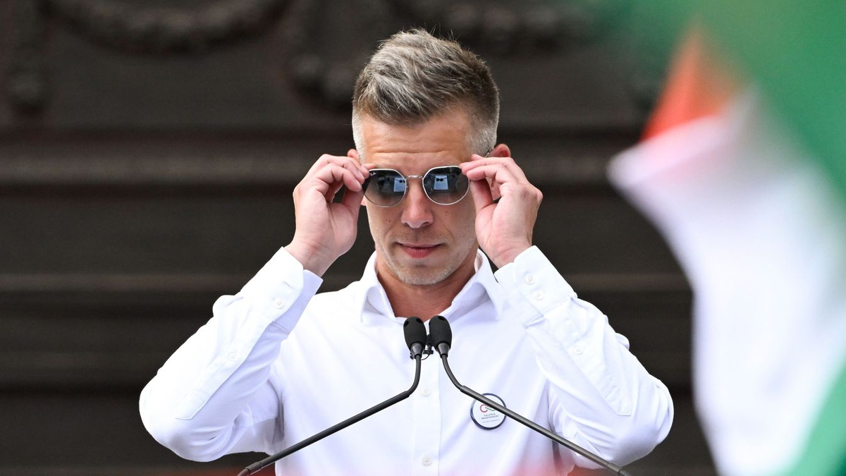 Magyar Péter korábban a Fidesznek pitizett politikai munkáért