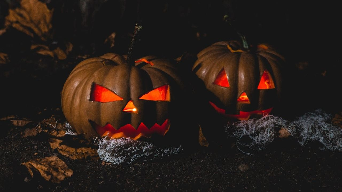 Halloweeni programok lesznek az állatkertben.