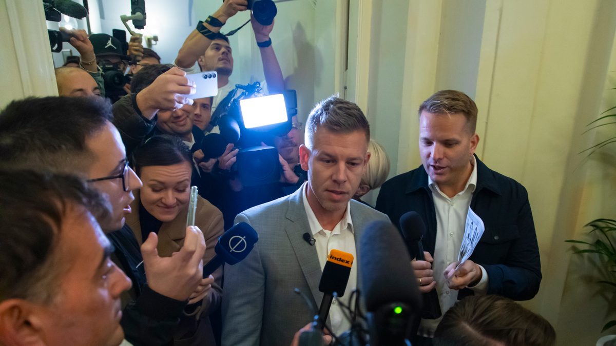 Kiderült, többszörösen büntetett előéletű Magyar Péter akciócsoportjának vezetője
