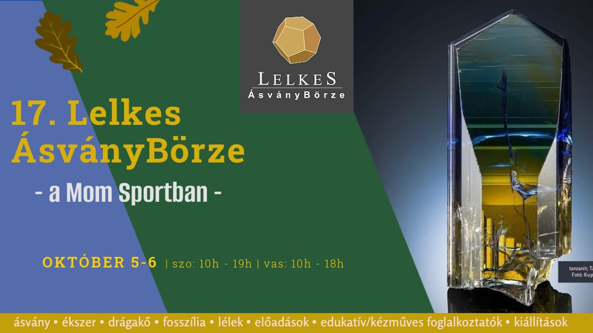 Lelkes ÁsványBörze a MoM Sportban