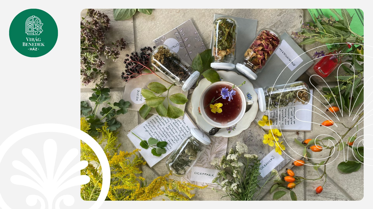 Herbal Activity Game – gyógynövényismereti játék minden érzékszervnek