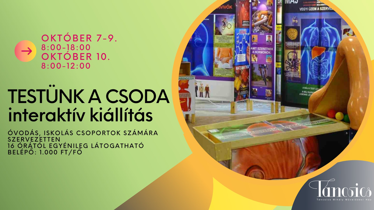Testünk, a csoda - interaktív kiállítás