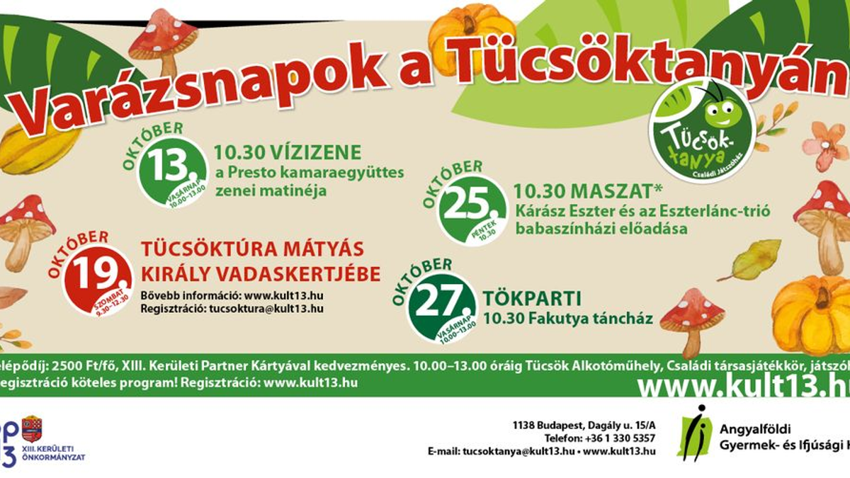 Vízizene - Varázsnapok a Tücsöktanyán