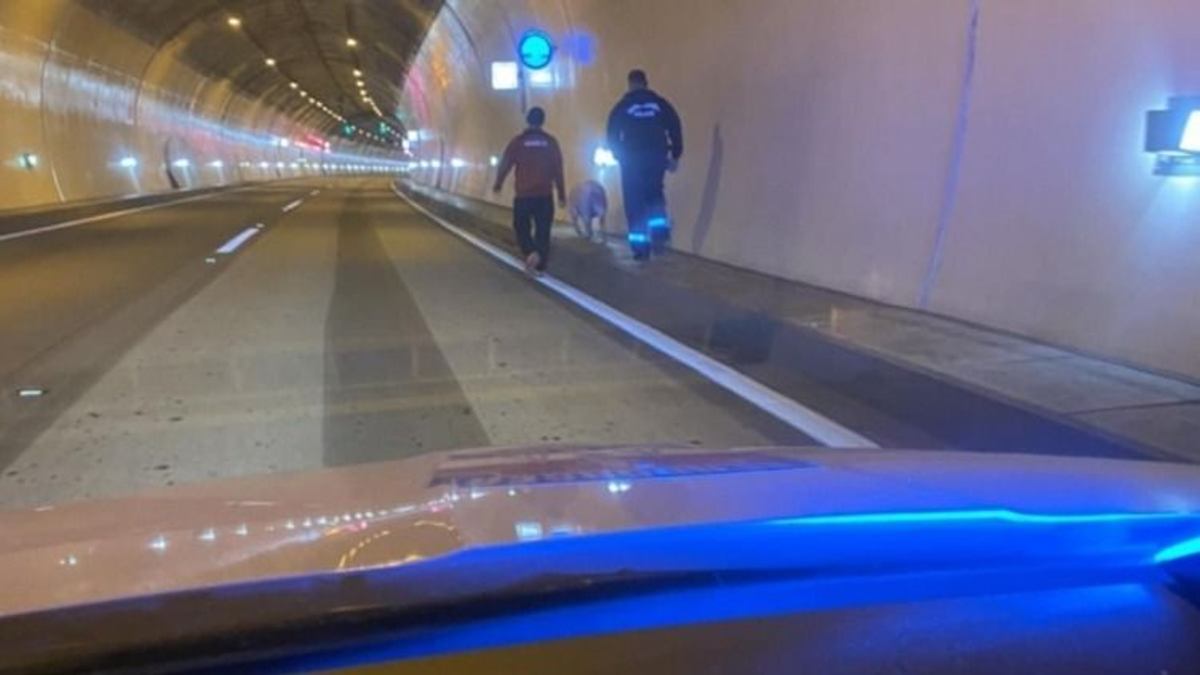 Dráma az M6-oson: hihetetlen, mi tűnt fel a Budapest felé vezető oldalon, kivonultak a hatóságok