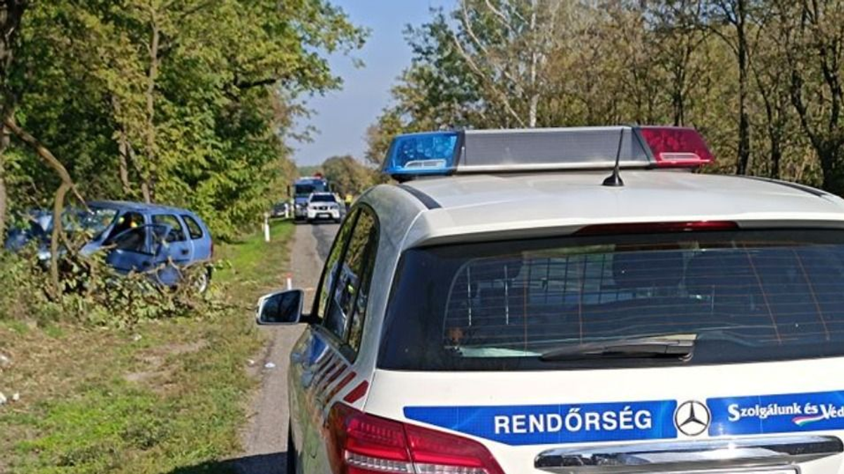 Unokáival rohant fának a nagymama Kisszállásnál