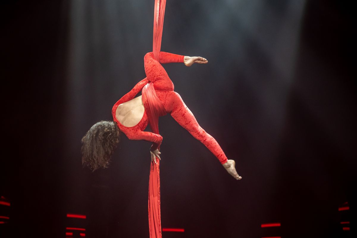 Kapitány Olívia
Cirque du Sileil artistája
Tissue
Fővűrosi Nagycirkusz