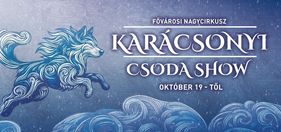 Karácsonyi csodashow

