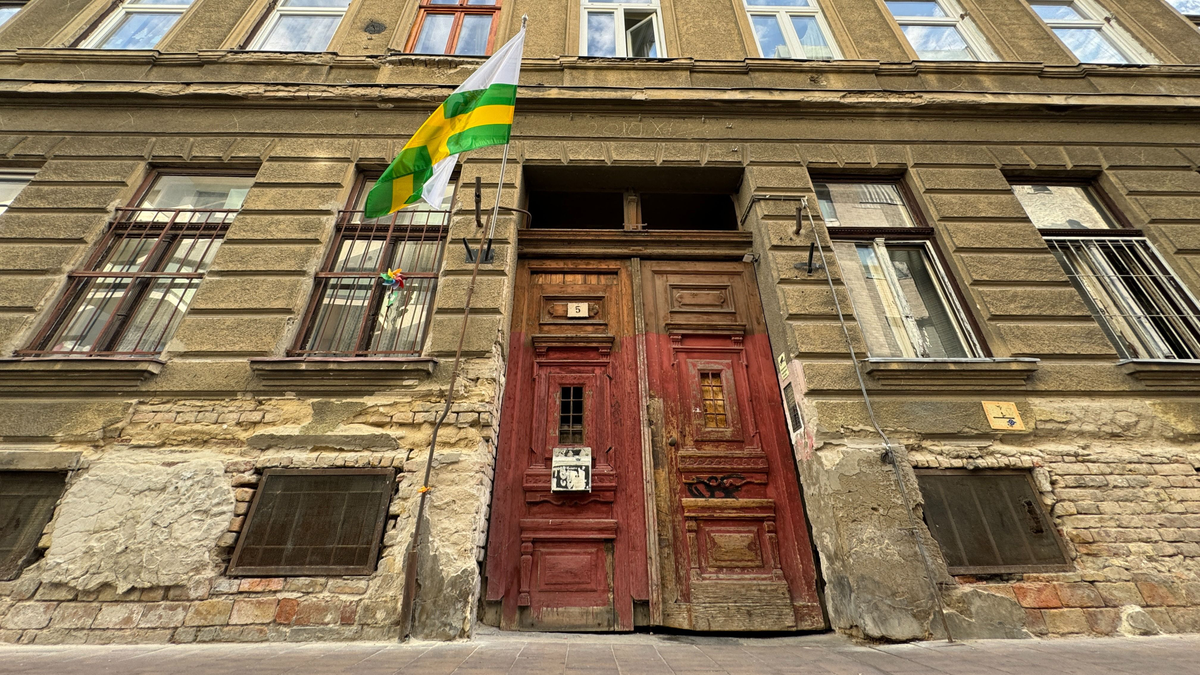 Ágyi poloska: A VIII. kerület el van fertőződve