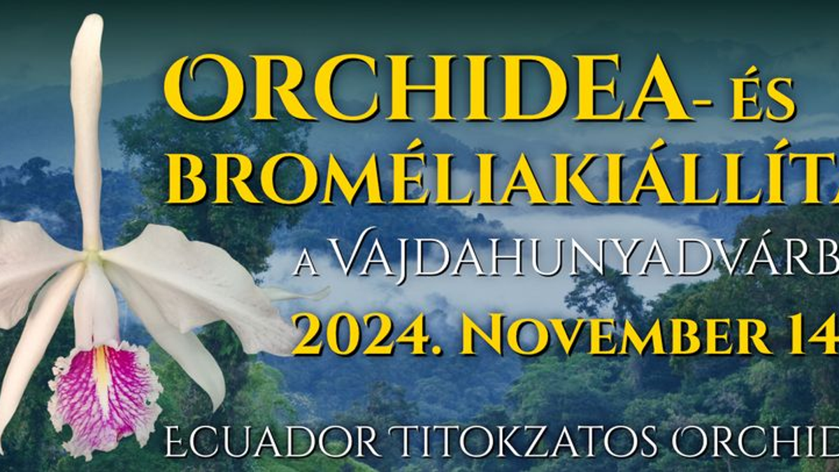 Orchidea és bromélia kiállítás a Vajdahunyadvárban