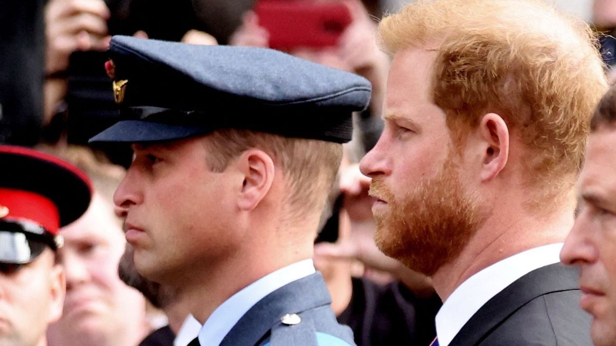 Princess Diana and her sons WIlliam and Harry