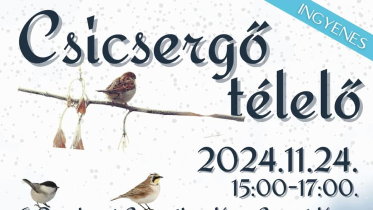 Csicsergő télelő - madarakról érdekesen gyerekeknek