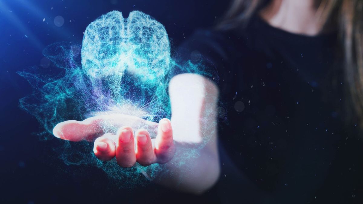 Brain 3D modeling by digital futuristic interface