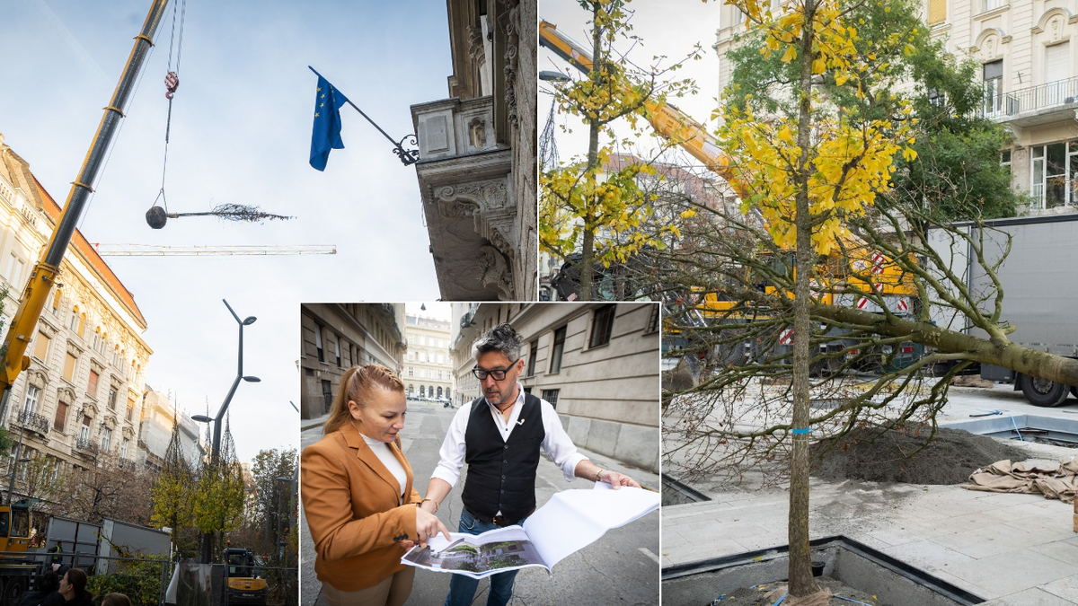 Belváros: Mérföldkő az innovatív zöldítésben, döbbenet!