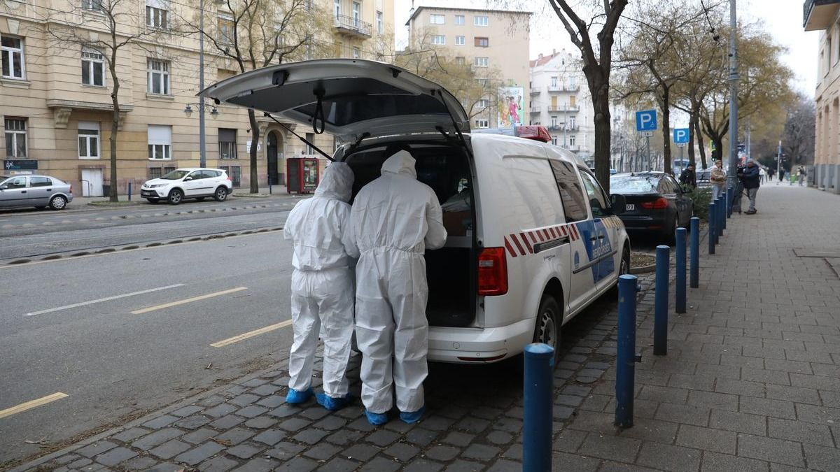 Gyilkosság Újbudán: megdöbbentő részletek