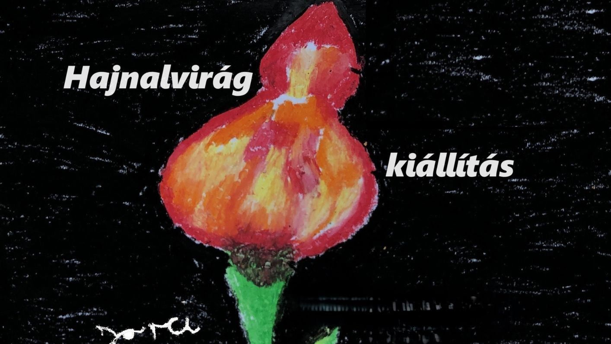 II. Hajnalvirág képkiállítás