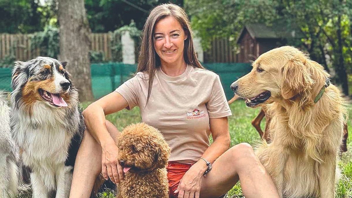 Kutyaruha-tervezés: A nagy kutyák se fázzanak!