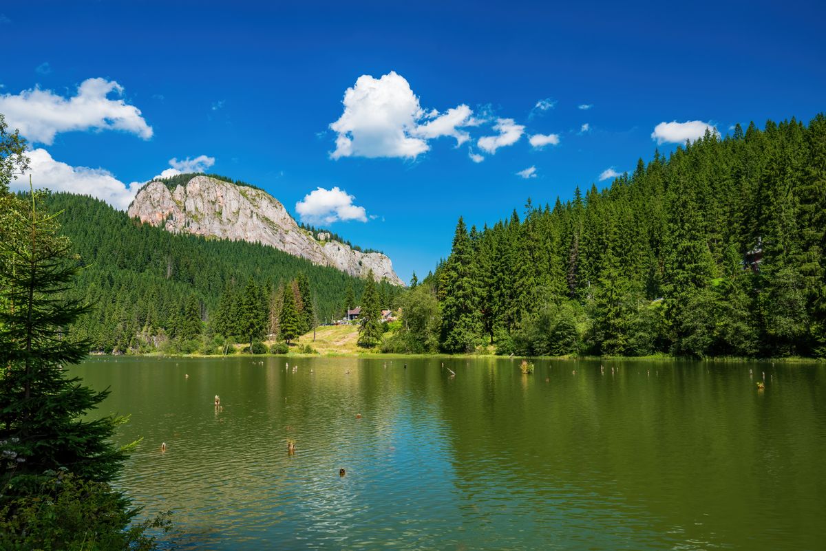 Summer,Scenery,Of,Mountain,Lake,Lacul,Rosu,(red,Lake,Or