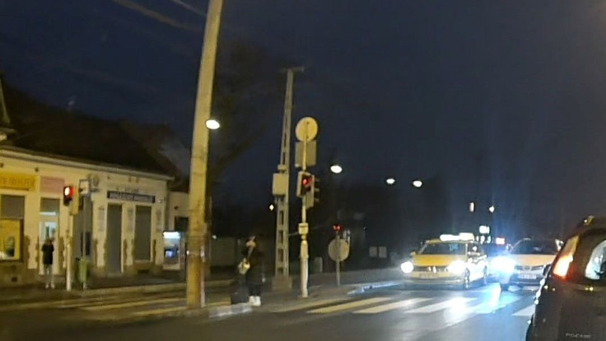 Kacsa az Üllői úton