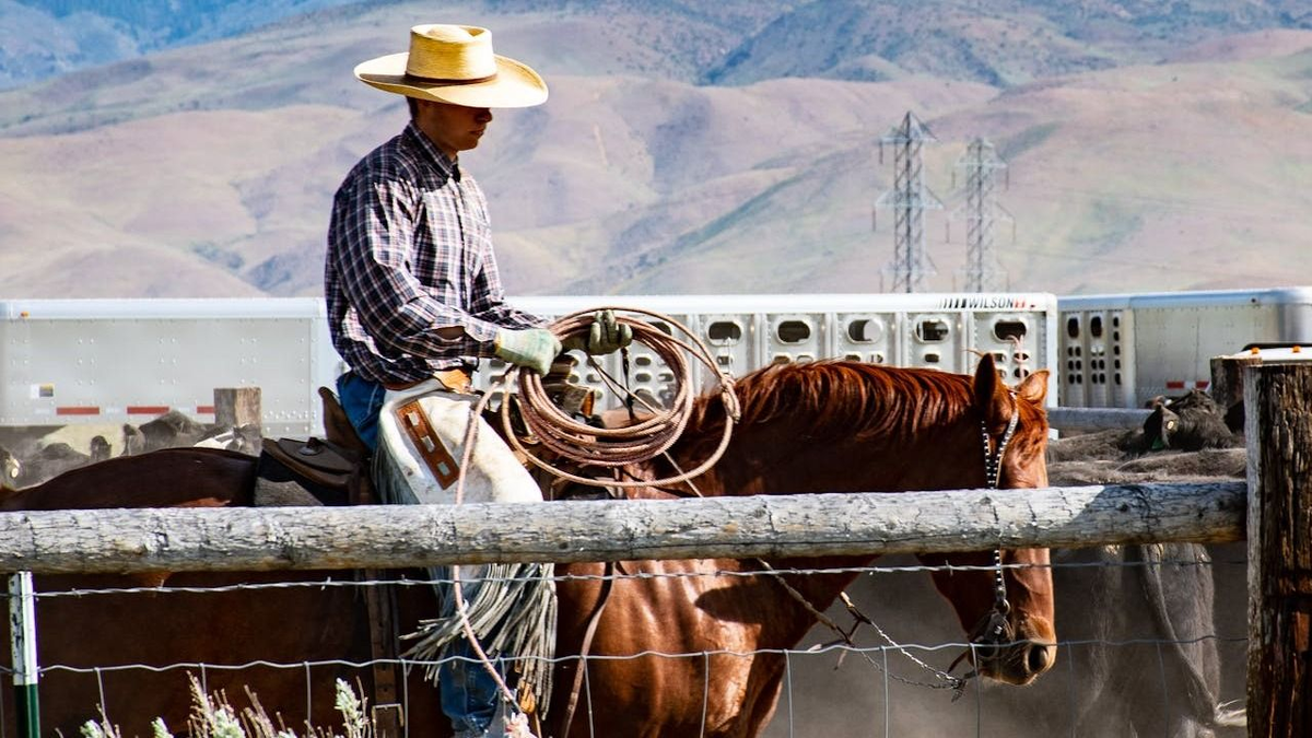 Cowboy-szindróma: a túlzott önállóság ártalmas is lehet