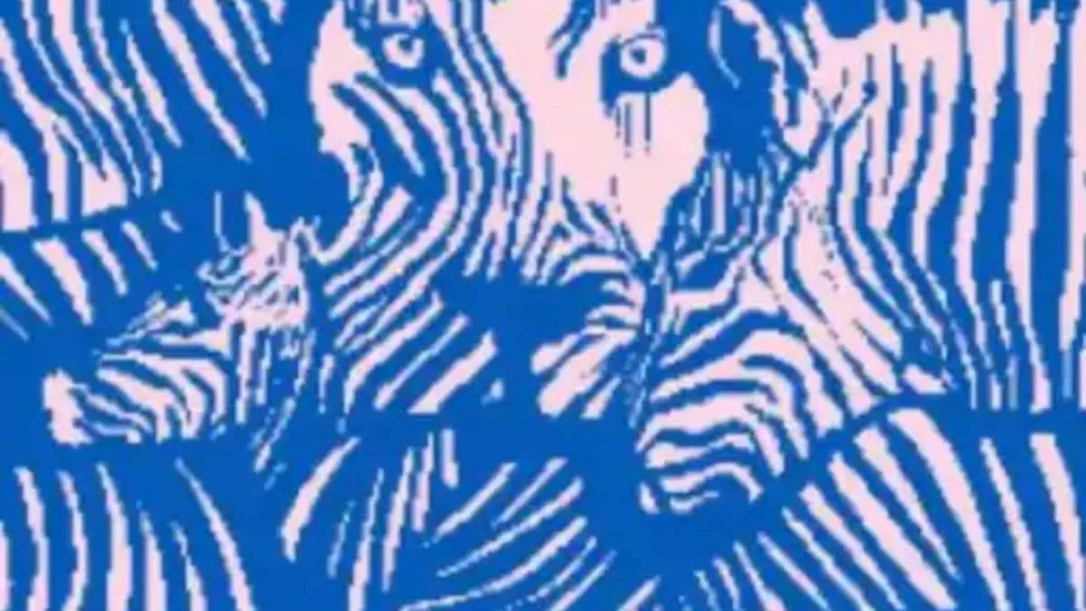 Oroszlán vagy zebra? Ez a teszt felfedi a valódi személyiséged!